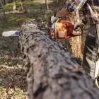 Motosserra Husqvarna 572XP XCUT + AUTOTUNE