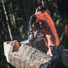 Motosserra Bateria Profissional Husqvarna 540i XP