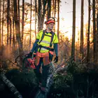 Motosserra Husqvarna 560XP AUTOTUNE