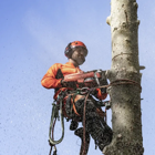 Motosserra Husqvarna Profissional 550 XP® Mark II