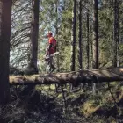 Motosserra Husqvarna 572XP XCUT + AUTOTUNE